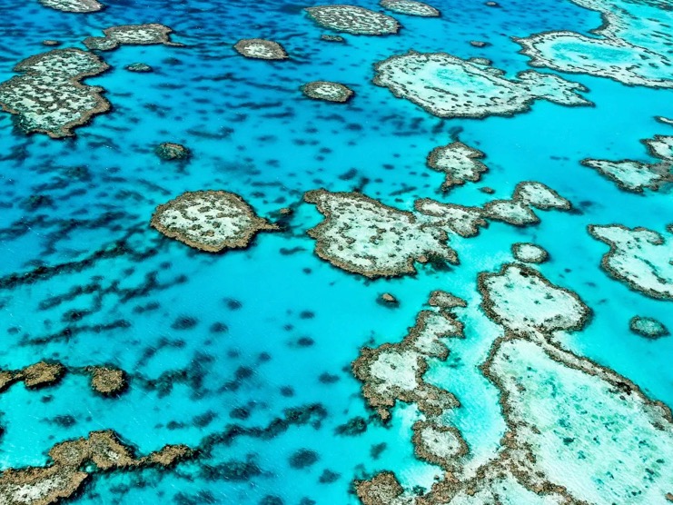 Visitor spend record for Aus in 2025 – WTTC